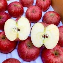 믿고먹는 방씨아들 꿀 경북 청송 사과 부사 홍로 양광 감홍 사과, 특대과 5kg(제수용/15과수 내외)