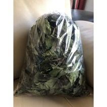 직접말린 고추잎 약 150g