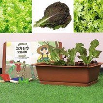 적겨자 쑥갓 상추 키우기 키트 텃밭 세트 아파트 베란다 텃밭 가꾸기 실내 집에서 화분 화단 꾸미기 홈가드닝 옥상 반려식물 유기농재배 키트 심기