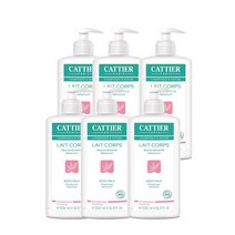 까띠에 바디 밀크 시어버터 500ml Cattier Lait Corps 프랑스화장품, 6팩