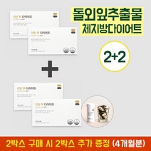 [건강기능식품/식약처인증] 2+2 리턴 투 다이어트 700mg x 240정 4개월분 식물성 돌외잎주정추출분말 체지방감소 변비해소, 4박스, 3개입