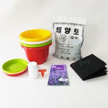 라벤더키우기 7종