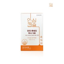 안국건강 루테인 미니 100 1박스, 1개, 60정