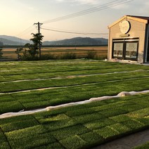 [마을기업] 무농약 잡곡 백미 찹쌀 흑미 녹미 홍미 현미 기능성쌀 1kg 2kg 4kg 10kg(선물세트1.8kg/누룽지향찹쌀/강호청보리쌀/누리찰보리/흑미), 1팩, 모현미4kg