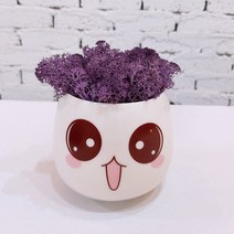 스칸디아모스 천연이끼 공기정화 이모티콘 화분, 큰 이모티콘 모스-퍼플
