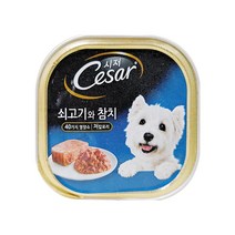 시저 반려견 주식캔, 소+참치, 100g, 8개