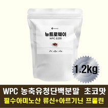 헬스단백질보충제 살찌는보충제 WPC 초코맛 아미노산 18종 류신 트립토판 아르기닌 글리신 비타민 미네랄 근육 강화 회복 단백질쉐이크 유청 농축 단백질 마시는 가루 분말 파우더