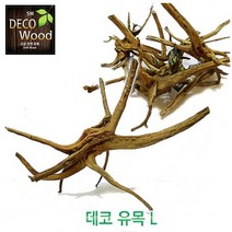 영아쿠아 데코유목 L 프리미엄가지유목 (약 35cm)