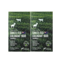 헬스윈 100% 자연방목 초유 그래스패드 뉴질랜드 초유산양유 120정, 2개