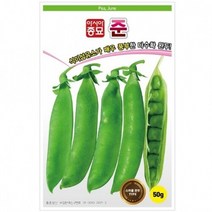 아시아종묘 완두콩 준 50g 콩씨앗, 1개