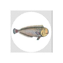 이탈리아 스타일 리나 디자인 레스토랑 벽 장식 접시 레스토랑 바 장식 하이 엔드 장식, 6 inches(15.5cm), 13