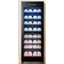 신발 소독 건조 탈취 신발장 워터파크 미용실 실내화, 168L(열풍건조+종합소독+탈취)자외선