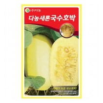 새론국수호박 600립 / 모발촉진 호박씨앗 국수호박 국수호박씨앗 호박 / DW1
