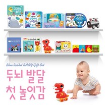 블루래빗 아이큐 베이비 두뇌발달 첫 놀잇감 세트 돌 아기책