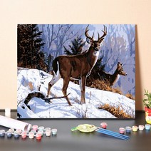 urkoteer DIY 명화 그리기 세트 40 x 50 cm 액자형 유화 붓 2세트 증정, 사슴-08