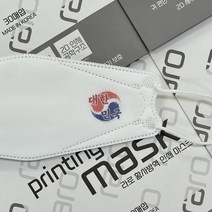[라로] 월드컵 응원 마스크 3D입체형/태극기/인쇄마스크/대형/소형, Design_5, 대형