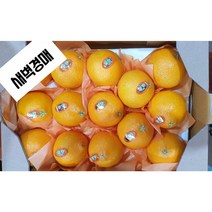 도담식품 프리미엄 제주도 황금향 고당도 3kg/5kg 선물용 가정용 귤로장생 감귤, 3kg(가정용)