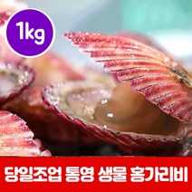 국산 가리비 홍가리비 참기립 구이 조개구이 국내산 홍가리비철 scollop 가리비시세 통영가리비 동해가리비 가리비구이 홍가리비구이 1kg, 홍가리비 1kg