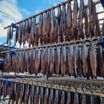 포항 구룡포 과메기 손질과메기 (10미 20쪽), 완전 손질 과메기 (10미 20쪽)