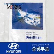 현대모비스 순정 전조등 헤드라이트 습기제거제 결로제거 모이스처 업소번트, 15g, 1개