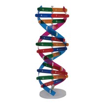 생물수업 DNA 유전자 이중나선 모형 만들기키트 의료분야 과학체험 생물학