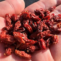 건구기자 말려서 건조한 열매 구기자 국산, 국산)건구기자 300g, 300g