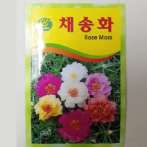 안산 플라워마트 상추 씨앗, 1개, 채송화