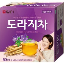 담터 도라지차 티백 50T, 1개