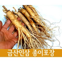 실속형 수삼 5년근 인삼 750g 11~15뿌리 특상품+종이포장, 인삼(750g) 11-15뿌리 종이포장