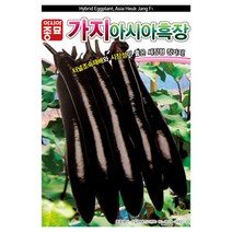 아시아종묘 가지씨앗 아시아흑장가지 (200립), 1.가지씨앗 200립