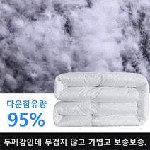 95% 거위털 함유 이불 구스이불 한겨울용 2000g, 블루