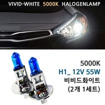 5000K 비비드화이트 현대 그랜져TG 06-09년 전조등 상향등 하향등 안개등 자동차램프, 5000K 그랜져TG 상향등 H1(2개1세트), 1세트, H1