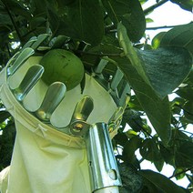 감장대 금속 과일 피커 편리한 원예 애플 복숭아 따기 도구, 한개옵션0