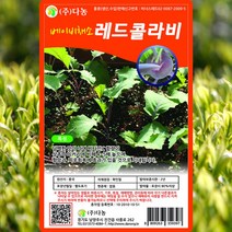 베이비 레드 콜라비 씨앗 콜라비 씨 종자 10g, 1개