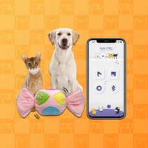 애플워치 갤럭시 펫피트니스로봇 후각 구글 스마트 캔디, 상세페이지 참조