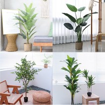 마쉬매리골드 조화 나무 초인기 30종 모음, 드라세나, XL 183cm(NA806131)