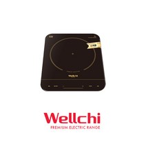 웰치 인덕션 1구 전기레인지 WEI-100 매립형