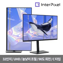인터픽셀 IPU3210 무결점 32인치 4K UHD C타입 평면 멀티스탠드 모니터, 단품