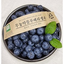 국산 영동 생블루베리 블루베리 무농약 블루베리생과 500g, 왕특(18mm이상)