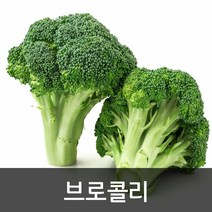 약수농장 국내산 브로콜리 4kg 8kg, 1박스, 브로콜리4kg