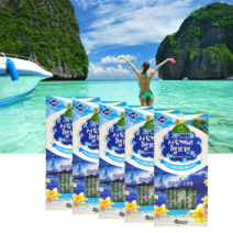 산도깨비 교환용 멤브렌 차량용 방향제 휘튼치드 리필, 5개, 휘튼치드 오션향