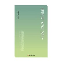 풀등에 걸린 염주:박래여 소설집, 박래여 저, 해드림출판사