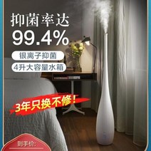 4L 두루미가습기 집들이 원룸 개인방 환절기 1인 탁상용 목건강 제 가습기 코피예방, 단품