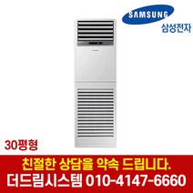 삼성전자 AP110RAPPBH1S 30평형 인버터 스탠드 냉난방기 기본설치별도 TD