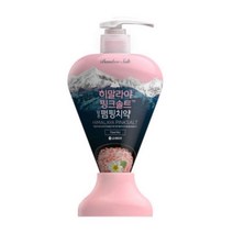 엘지생활건강 죽염 히말라야 핑크솔트 담은 펌핑 치약 플로럴민트 285g, 1개