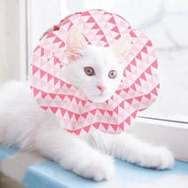강아지 고양이 애견 중성화 수술 후 관리 꼬깔 깔대기 일회용 넥카라, 상세페이지 참조