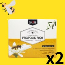 프로폴리스 뉴질랜드 파이오라 propolis 유칼립투스 플라보노이드 함유, 120정, 2통
