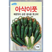 23년도 아삭이풋고추 100립 꼬마아삭이 농우