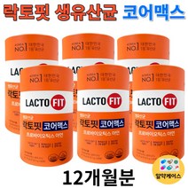 락토핏 생 유산균 코어맥스 생유산균 생착유산균 프롤린 실크피브로인 홈쇼핑 프로바이오틱스 60포 x 6통 12개월 + 알약케이스set, LACTOFIT 생착유산균 락토핏 코어맥스 12개월분