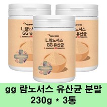 gg유산균 프로바이오틱스 가루 l 람노서스 분말 락토바실러스 프리바이오틱스 프락토올리고당 장건강 3세대 생유산균 유익균 먹이, 3통
